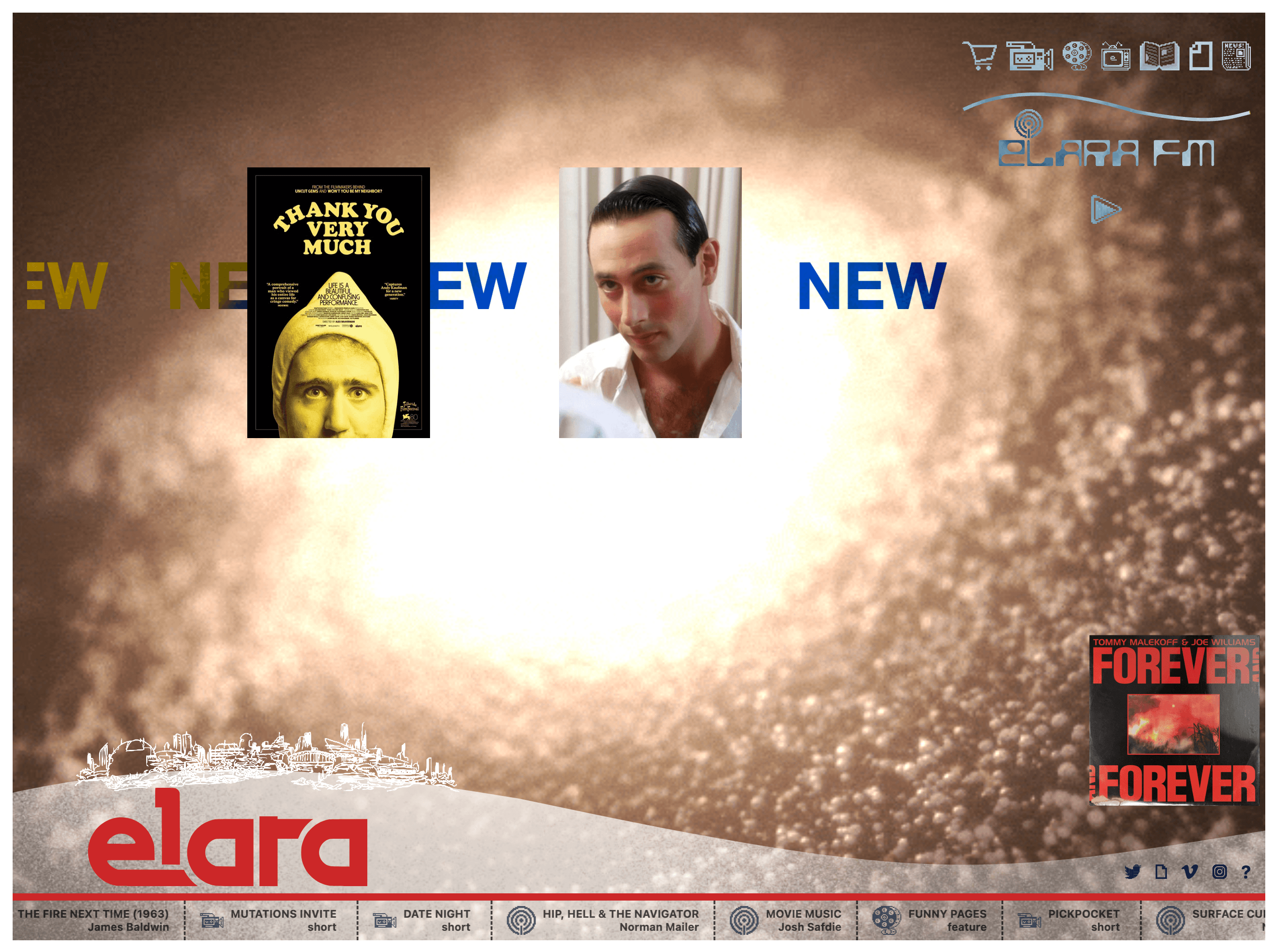 A picture of the elara.world website.