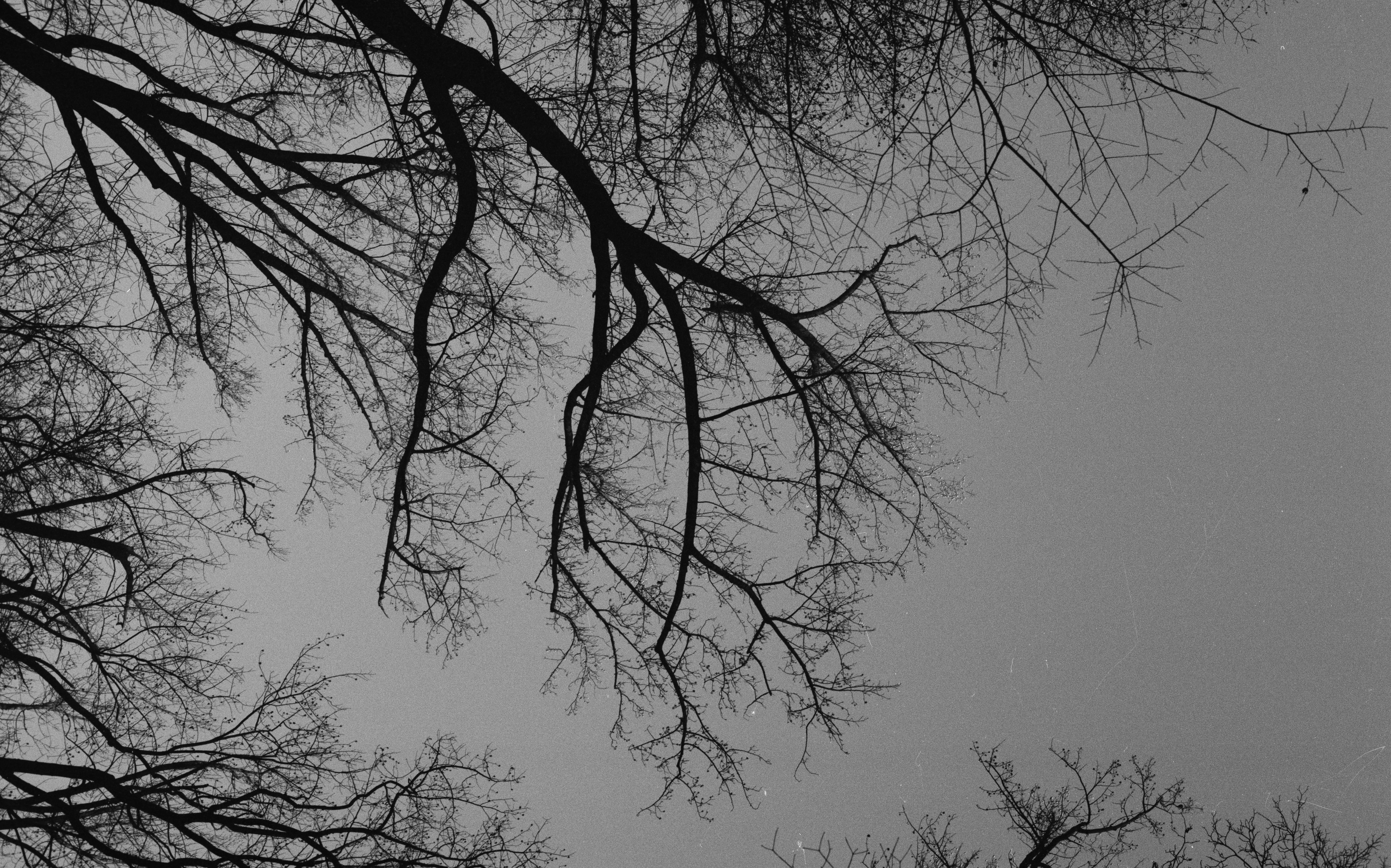 Photography image 17