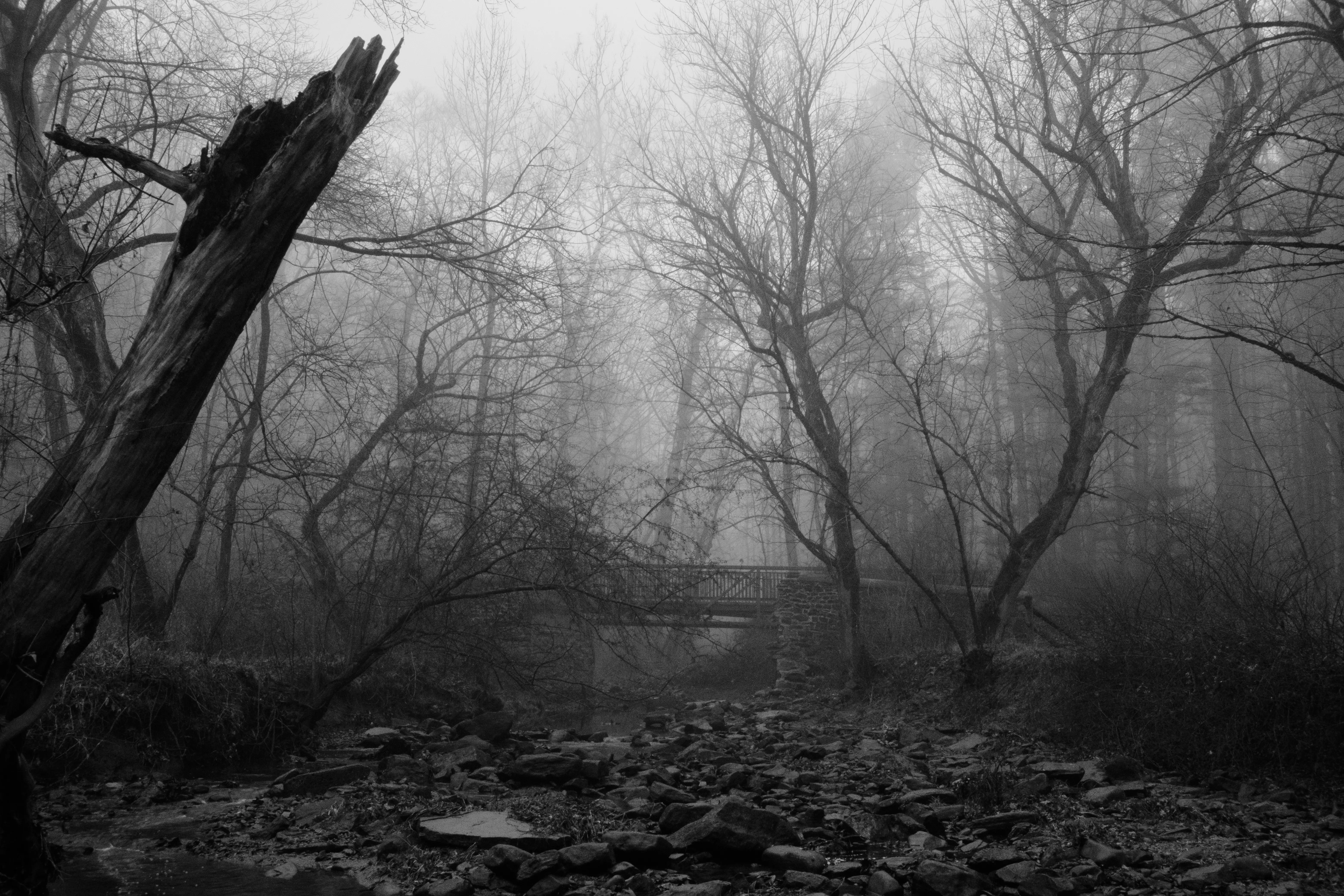 Photography image 23