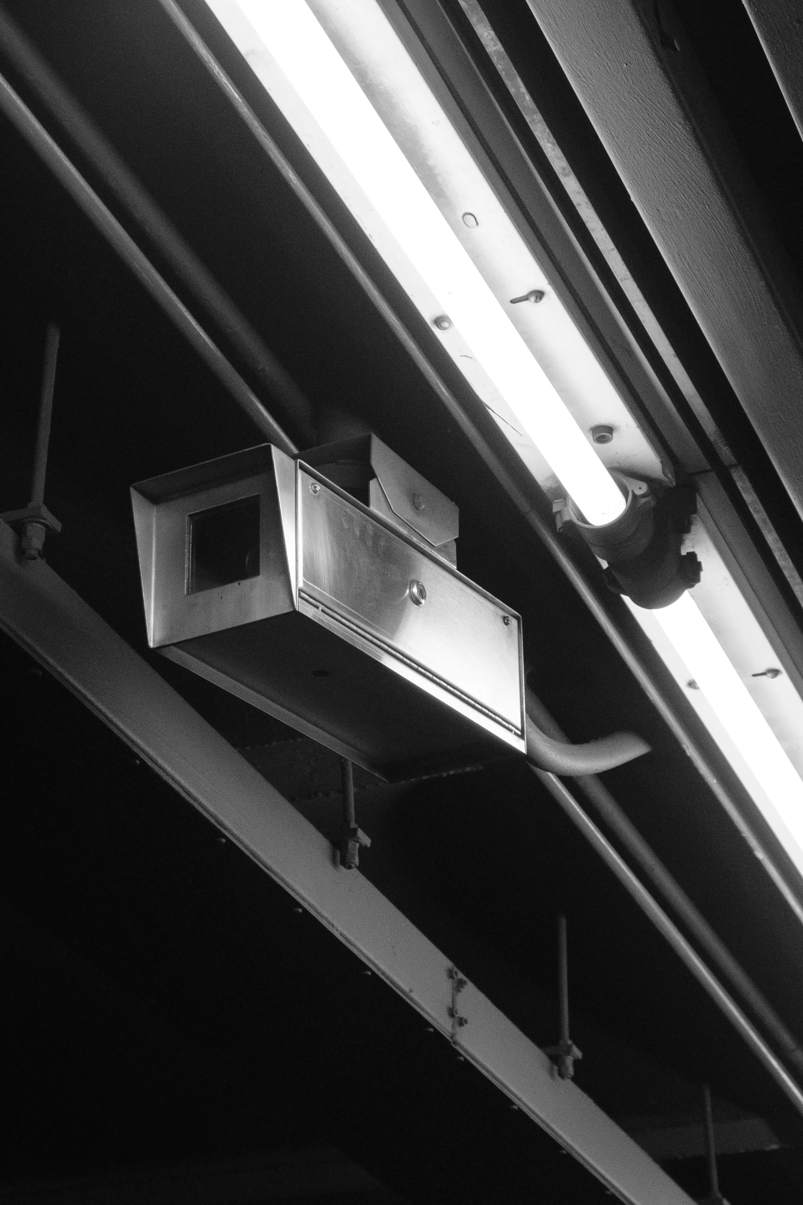 Photography image 7