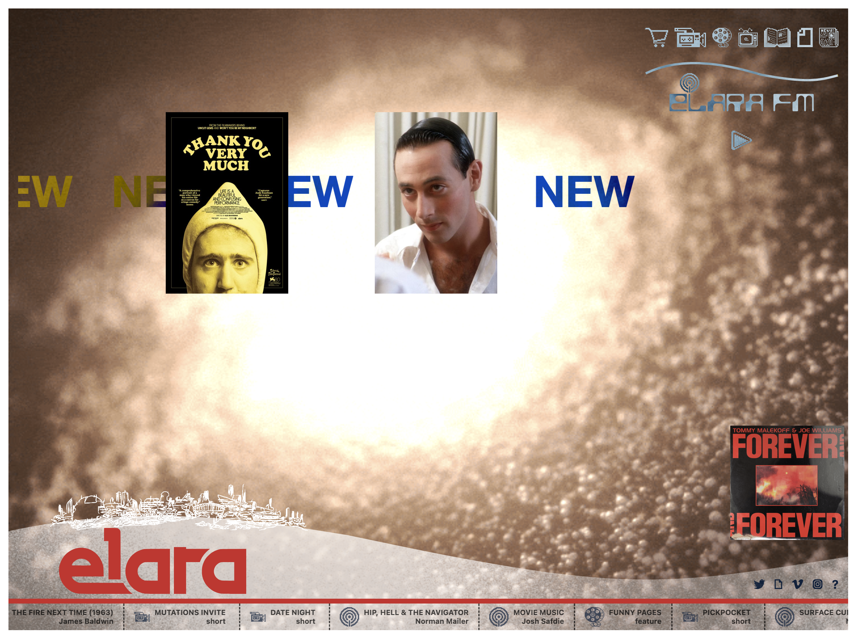 A picture of the elara.world website.